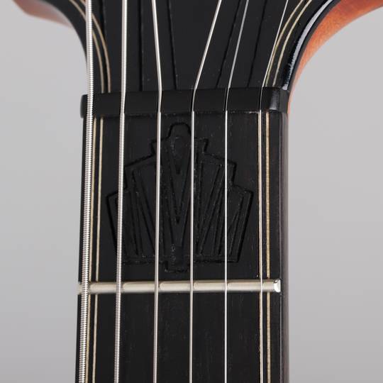 Victor Baker Guitars Model 14 Semi Hollow Special Edition ヴィクター ベイカー サブ画像17