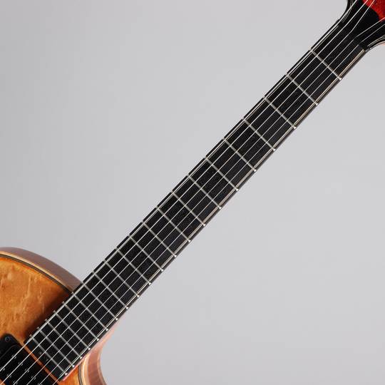 Victor Baker Guitars Model 14 Semi Hollow Special Edition ヴィクター ベイカー サブ画像5