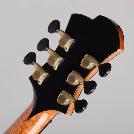 Victor Baker Guitars Model 14 Semi Hollow Special Edition ヴィクター ベイカー サブ画像6