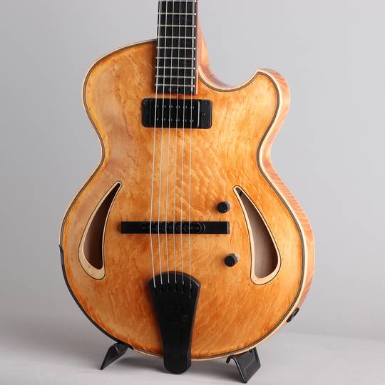 Victor Baker Guitars Model 14 Semi Hollow Special Edition ヴィクター ベイカー サブ画像8