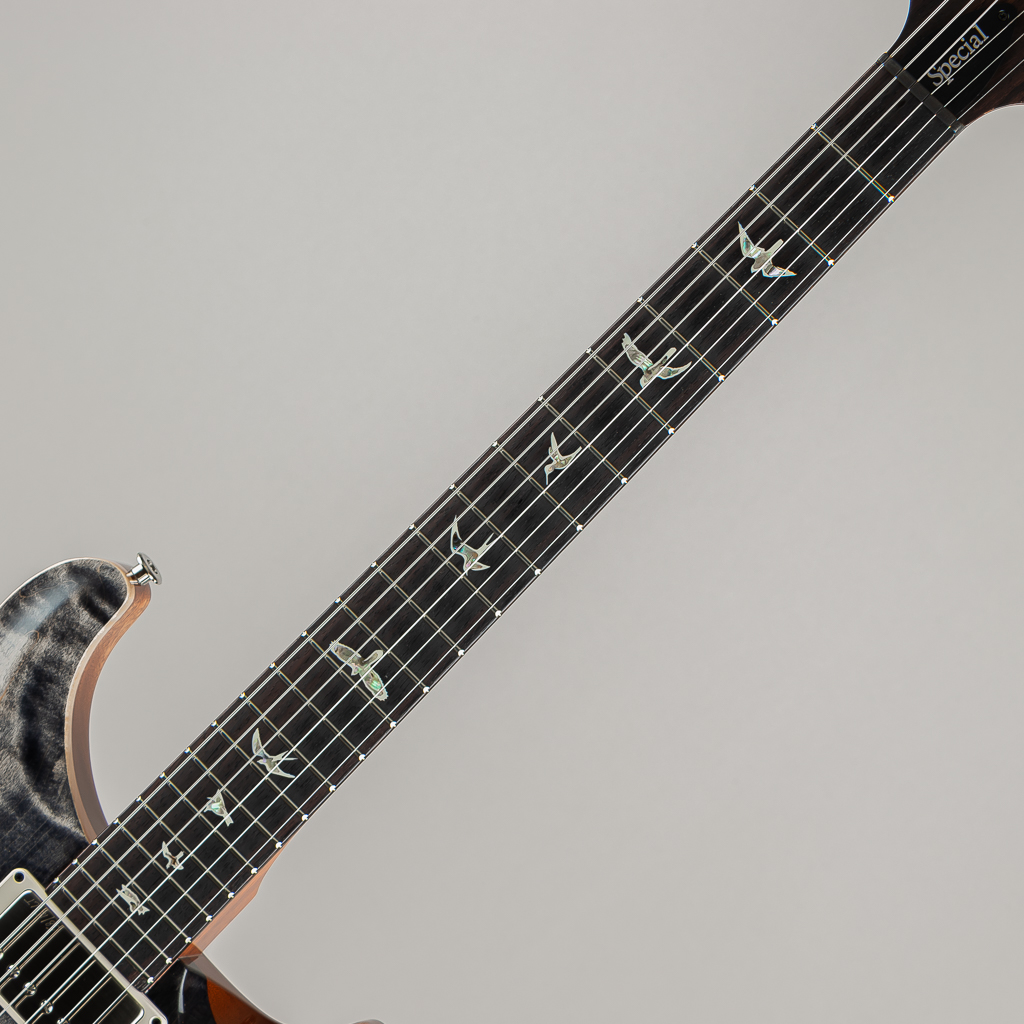 Paul Reed Smith Special Semi-Hollow Charcoal 2024 Spec ポールリードスミス サブ画像5
