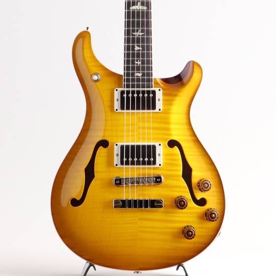 Paul Reed Smith McCarty 594 Hollowbody II Lacquer Finish McCarty