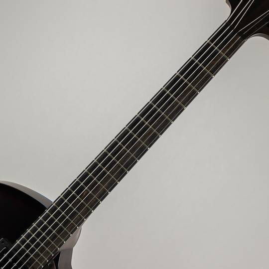 Victor Baker Guitars Model 15 Archtop Brown smoke with satin topcoat S/N:639 ヴィクター ベイカー サブ画像5