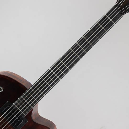 Victor Baker Guitars Model 15 Full-Hollow Brown Smoke Satin Catseye Soundholes 2 pickups Black hardware ヴィクター ベイカー サブ画像5