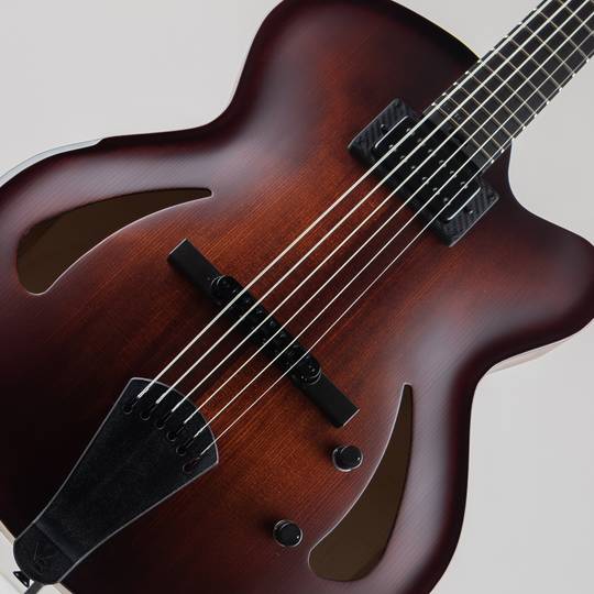 Victor Baker Guitars Model 15 Full-Hollow Brown Sunburst Satin Catseye Soundholes 1 pickup Black hardware ヴィクター ベイカー サブ画像10