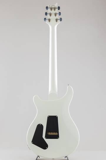 Paul Reed Smith Special Semi-Hollow Antique White ポールリードスミス サブ画像3