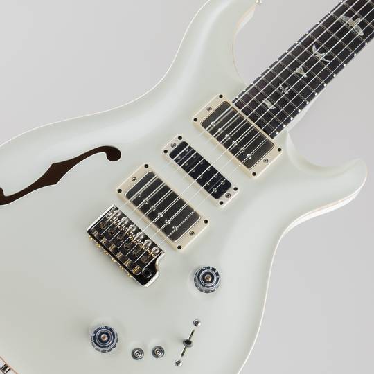 Paul Reed Smith Special Semi-Hollow Antique White ポールリードスミス サブ画像10