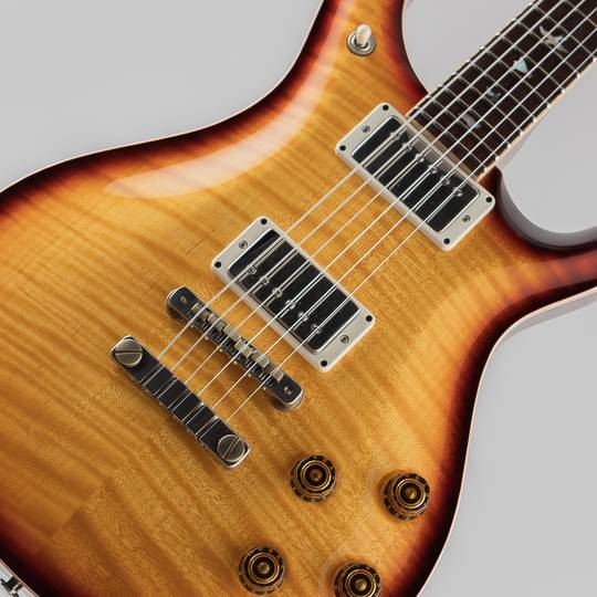 Paul Reed Smith Private Stock #7513 McCarty 594 “Graveyard Limited” 2018 ポールリードスミス サブ画像10