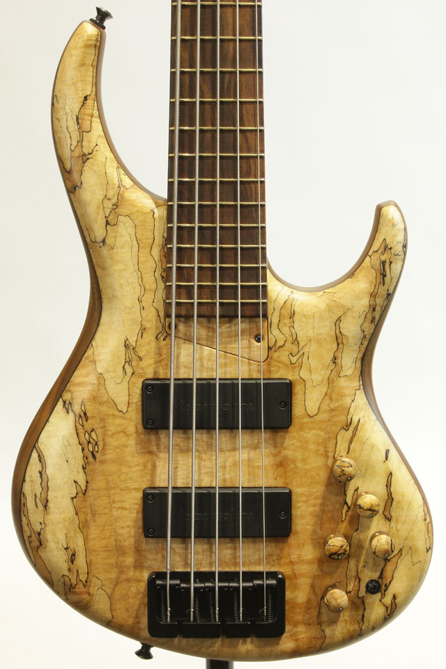 535-24 Spalted Maple top / Walnut Body