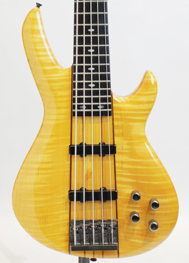 Custom 5st Bass