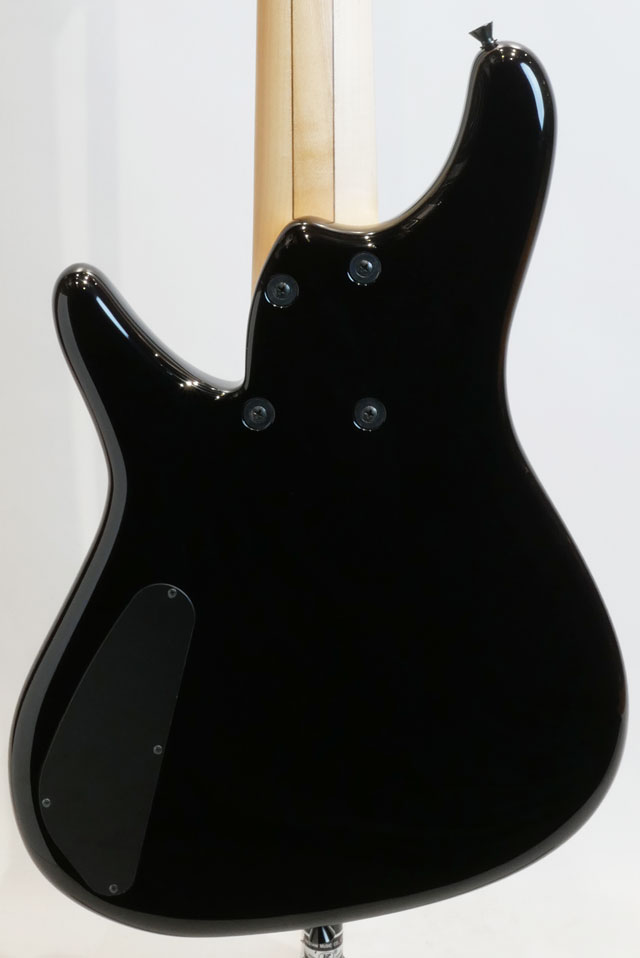 Sugi NB5E SPL/A-MAHO Rainbow スギギター サブ画像1