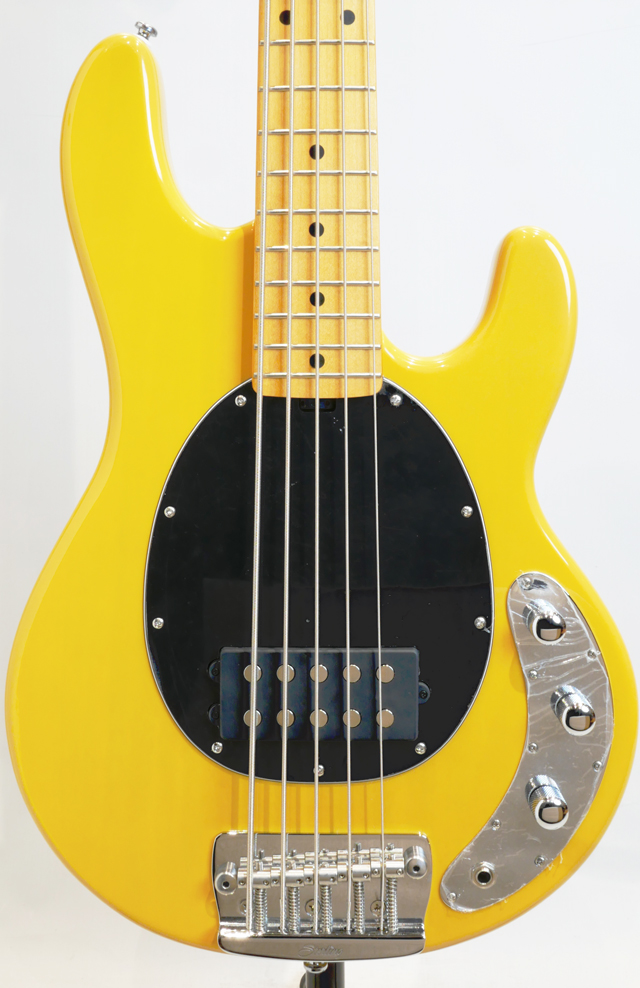 Sterling by MUSIC MAN STINGRAY RAY25CA (Butterscotch) スターリン