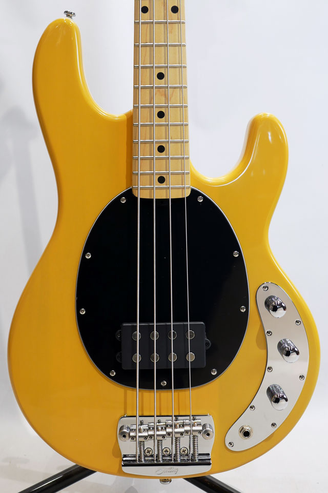 Sterling by MUSIC MAN STINGRAY RAY24CA (Butterscotch) スターリン