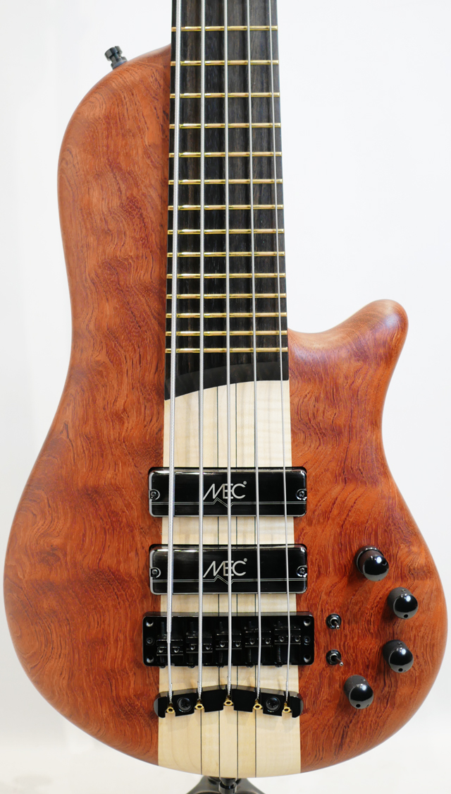 Thumb Bass Single Cut 5st Basic Model