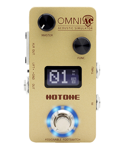 HOTONE Omni AC Acoustic simulator ホットトーン