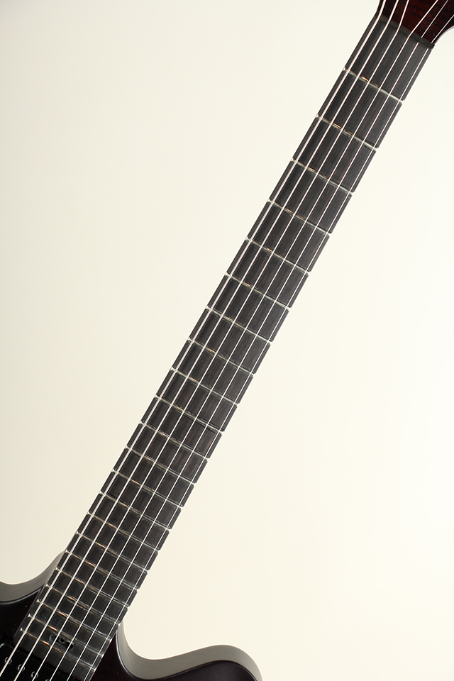 Victor Baker Guitars Model 35 Chambered Semi-hollow Brown Burst smoke stain【サウンドメッセ出展予定商品】 ヴィクター ベイカー SM2024 サブ画像7