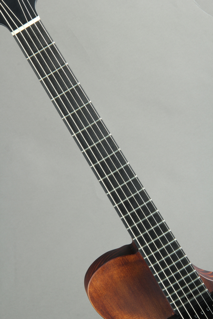 Victor Baker Guitars Ergonomic Semi-hollow ヴィクター ベイカー サブ画像6