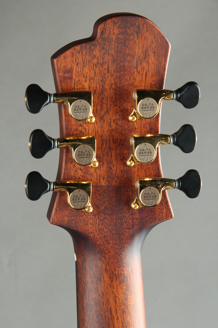 Victor Baker Guitars Ergonomic Semi-hollow ヴィクター ベイカー サブ画像9
