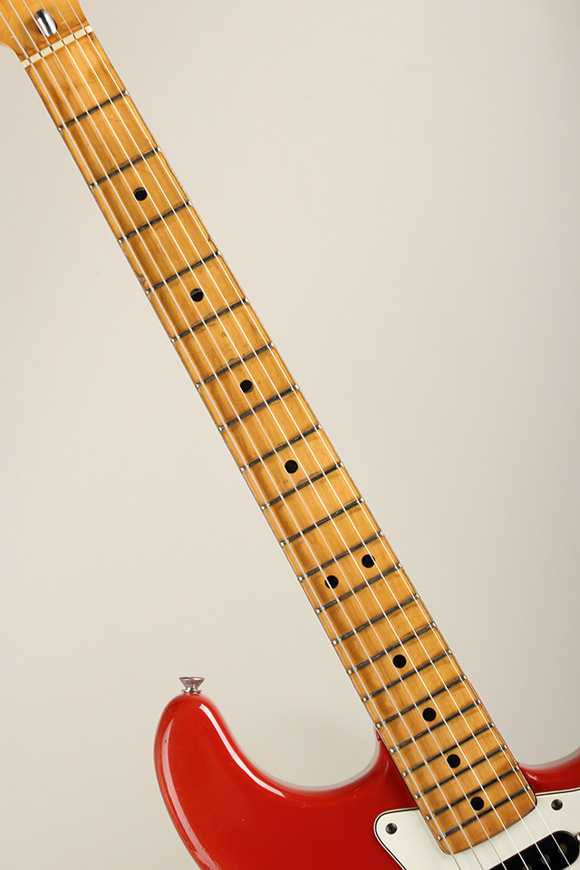 FENDER 1981 Stratocaster International Color Morocco Red フェンダー サブ画像5