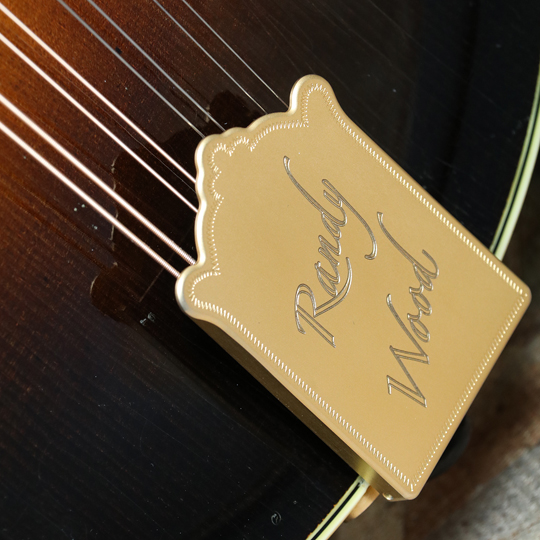 Randy Wood Guitars Standard A-5 w/Virzi Tone Producer ランディウッド サブ画像9
