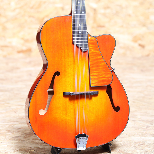 Quint Archtop Octave Mandolin  Maple Short Scale Cuyaway CS クイント