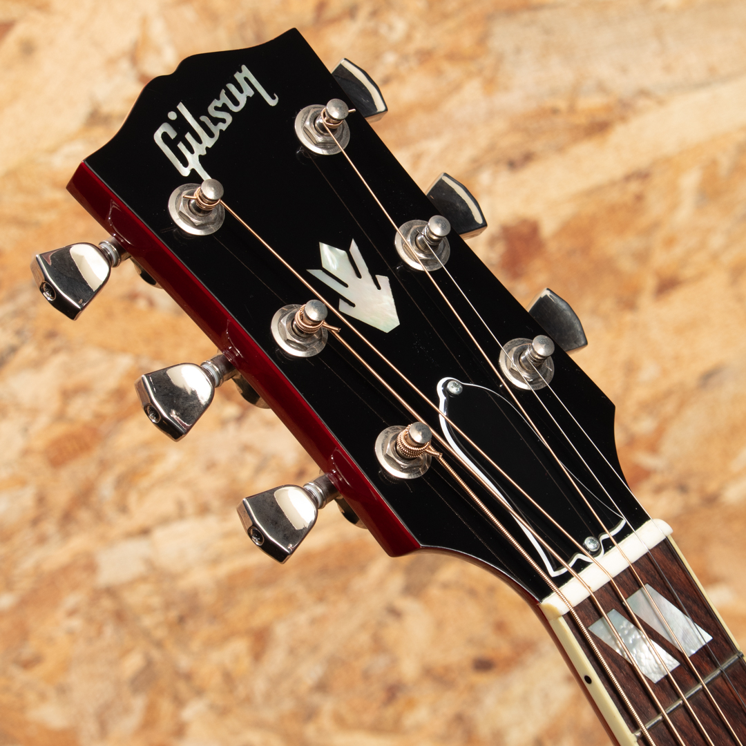 GIBSON DOVE VCS Special ギブソン SM2024AG サブ画像7