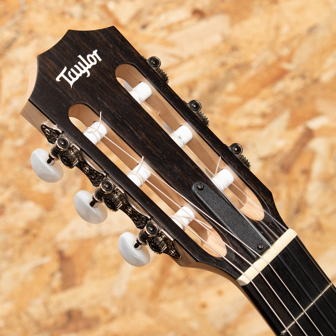 TAYLOR EG-12e-N LTD 商品詳細 | 【MIKIGAKKI.COM】 Acoustic INN 【アコースティックギター