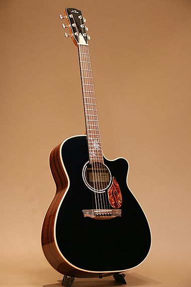 Hidaka Guitars TS-02 Custom 日高雅樹