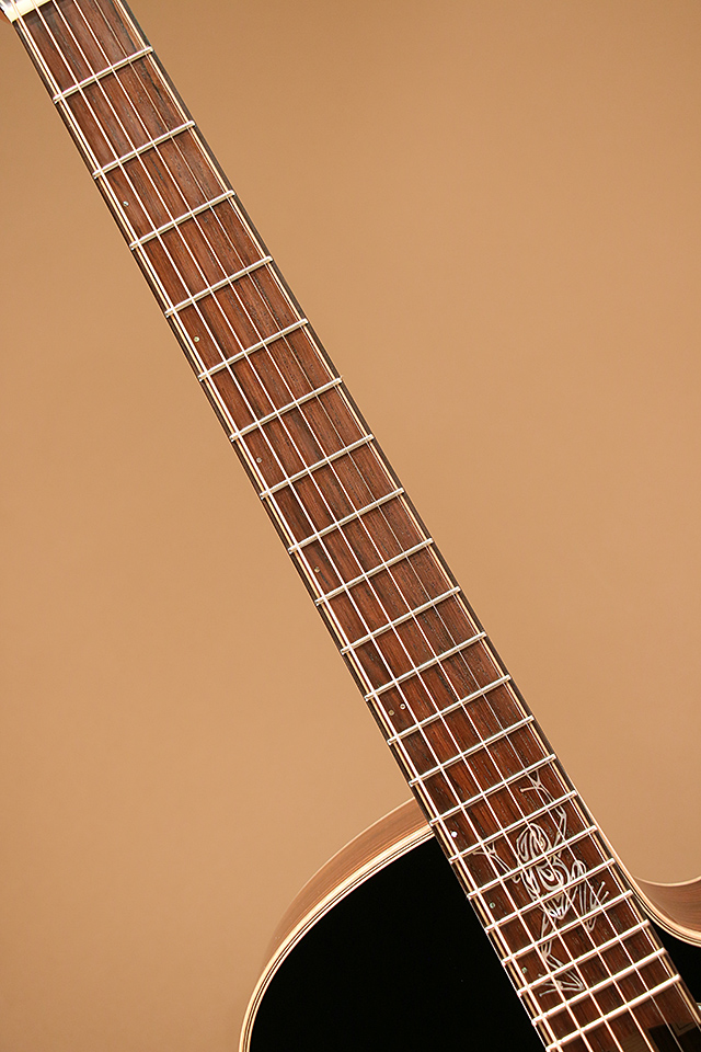 Hidaka Guitars TS-02 Custom 日高雅樹 サブ画像6