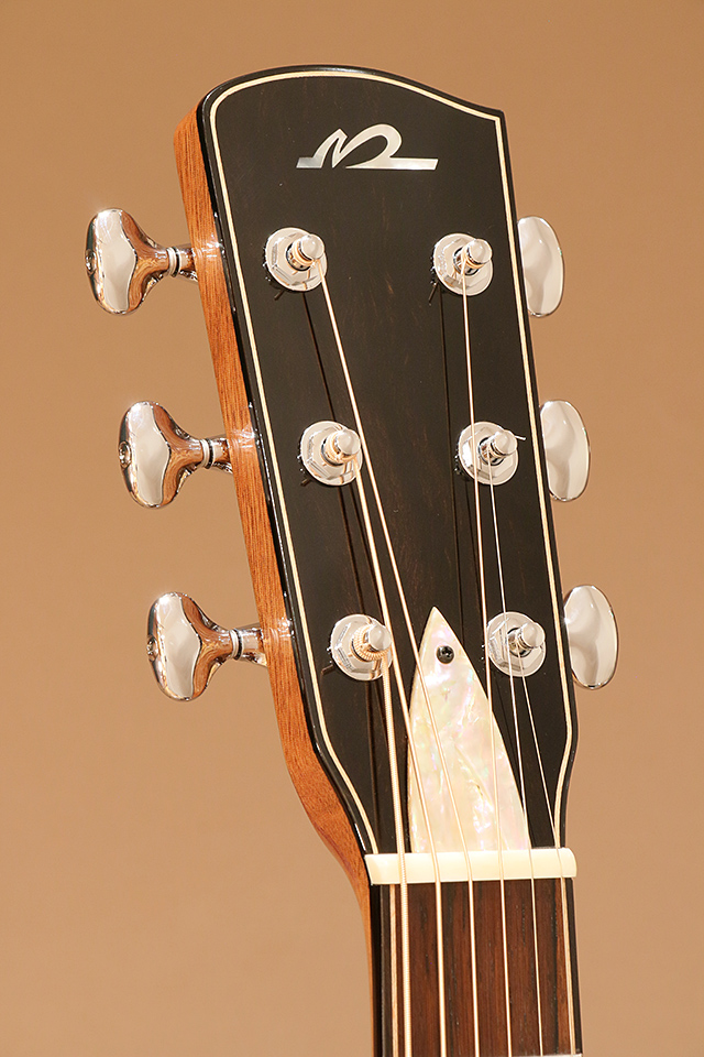 Hidaka Guitars TS-02 Custom 日高雅樹 サブ画像8