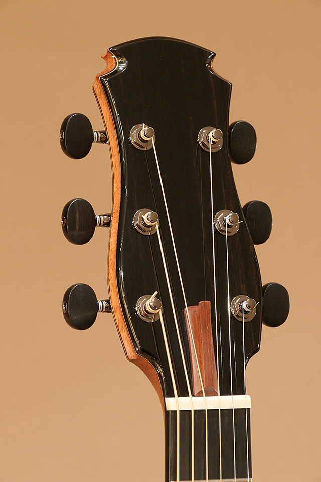 FUJII GUITARS OM-cw Amazon Rosewood フジイギター サブ画像8