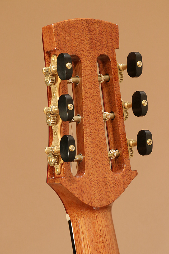 Hiramitsu Guitars Type messe ヒラミツギター サブ画像9