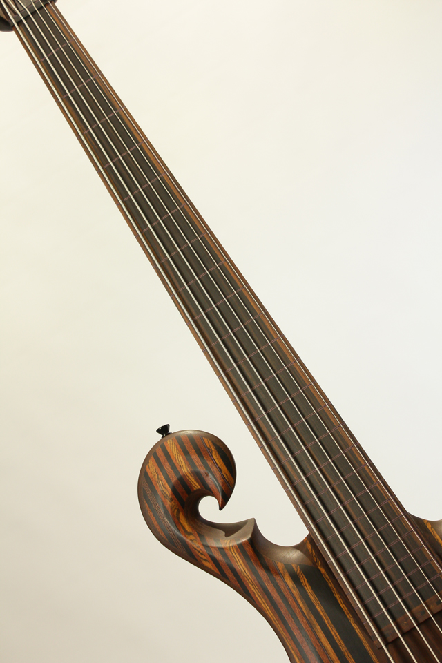 Carl Thompson Rainbow Bass 6 string Fretless / 36 カール　トンプソン Rainbow Bass 6 string Fretless / 36 サブ画像5