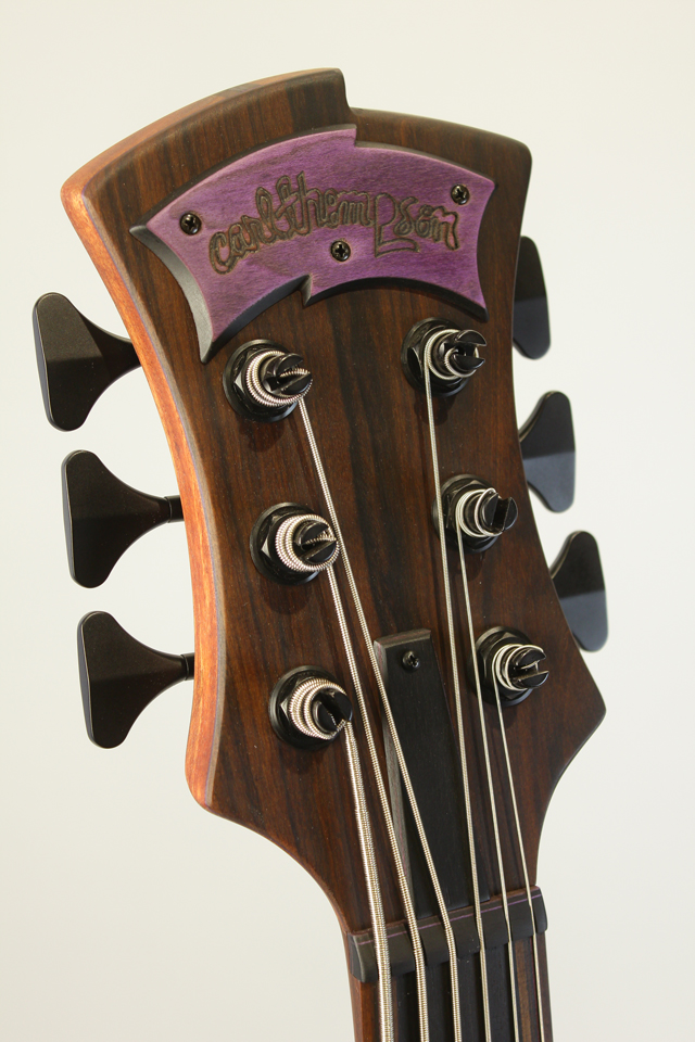 Carl Thompson Rainbow Bass 6 string Fretless / 36 カール　トンプソン Rainbow Bass 6 string Fretless / 36 サブ画像8