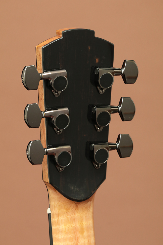 Jack Spira Guitars JS-4 ジャックスピラギターズ サブ画像9