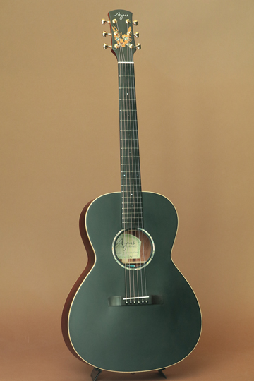 エアーズ ギター　ワイルドキャット L00-08A