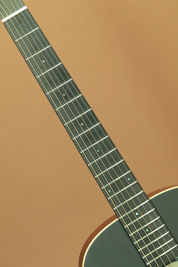 エアーズ ギター　ワイルドキャット L00-08A