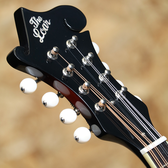 The Loar LM-520 ザ　ロアー LM-520 サブ画像3
