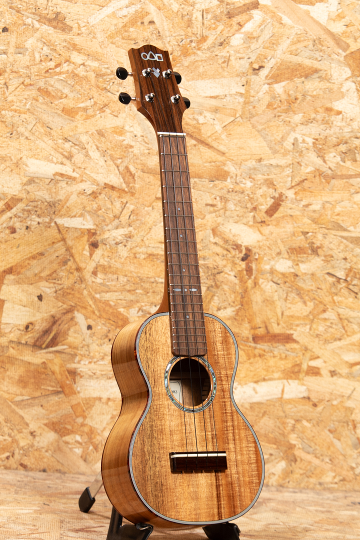 URABE M-46 Hawaiian Koa Medium 占部弦楽器製作所 SM2024AG サブ画像2