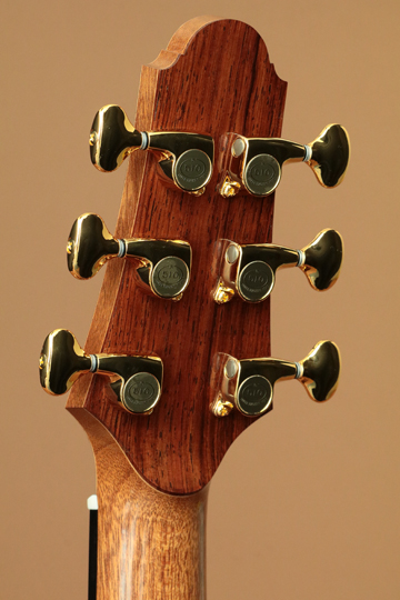 Ryota Mukae Guitars MSS Flush Cutaway Swiss Moon Spruce/Madagascar Rosewood 向江良太 サブ画像8