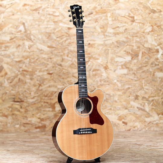 GIBSON Parlor Rosewood M ギブソン サブ画像2