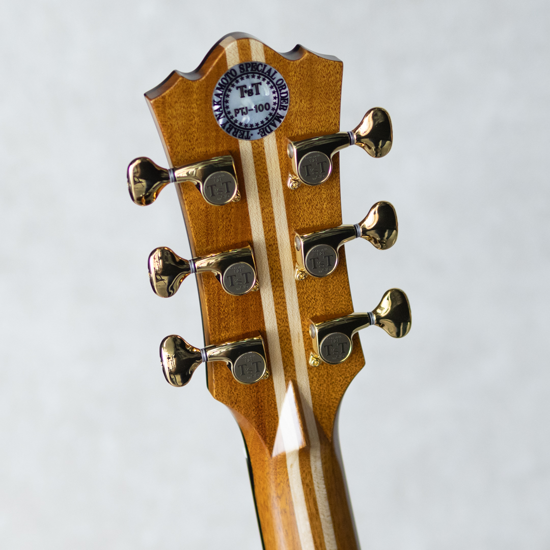 T'sT Premium Terry PTJ-100 German Spruce /Indian Rosewood プレミアムテリー サブ画像9