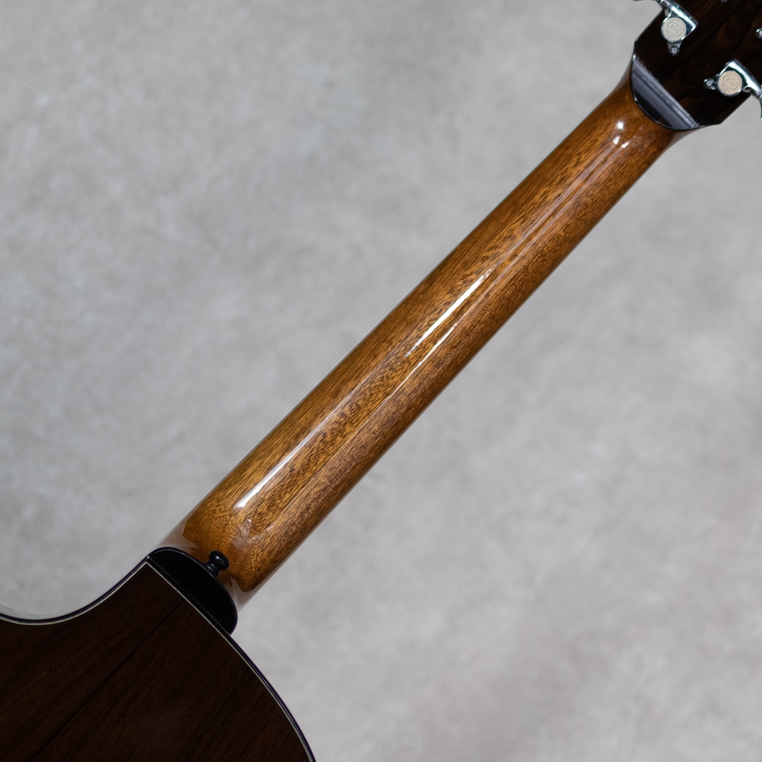 Solo Consort Cutaway German Spruce / Madagascar Rosewood / 2020