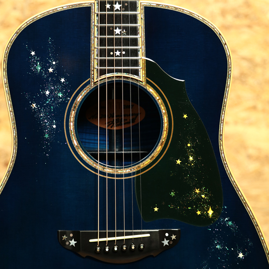 T'sT Terry's Terry Star Blue No.300 Anniversary テリーズテリー サブ画像10