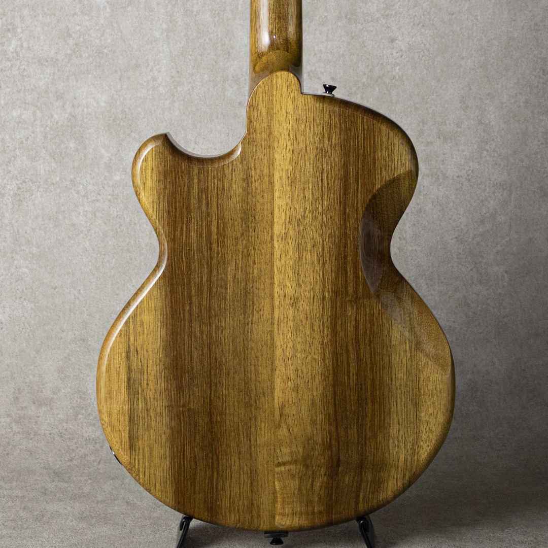 Victor Baker Guitars Model 14 chambered semi hollow ヴィクター ベイカー サブ画像2