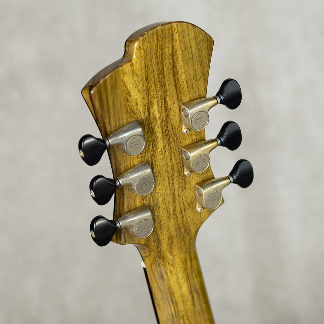 Victor Baker Guitars Model 14 chambered semi hollow ヴィクター ベイカー サブ画像9