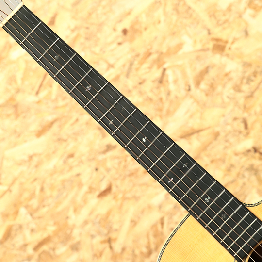 Solo Herringbone | 【MIKIGAKKI.COM】 Acoustic INN