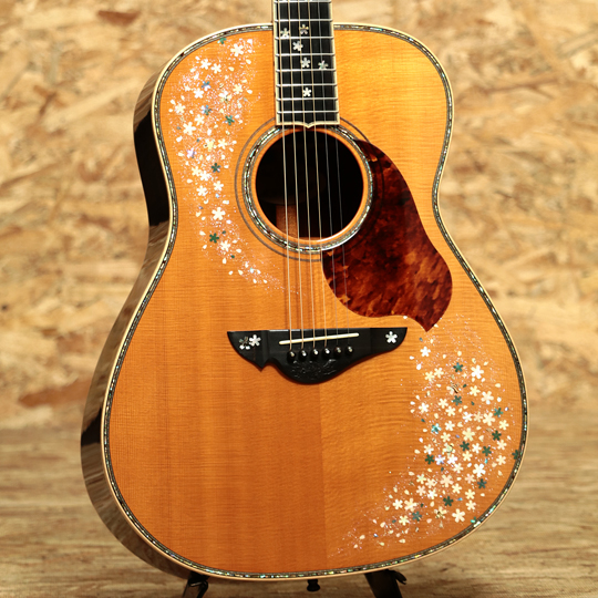 T'sT Terry's Terry TMJ-051 Madagascar Rosewood テリーズテリー