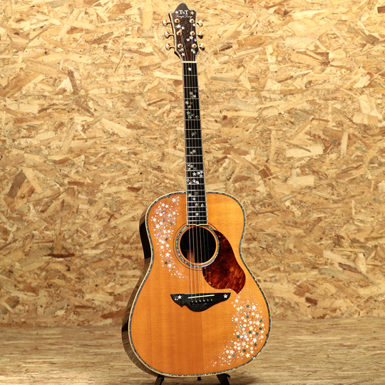 T'sT Terry's Terry TMJ-051 Madagascar Rosewood テリーズテリー サブ画像2