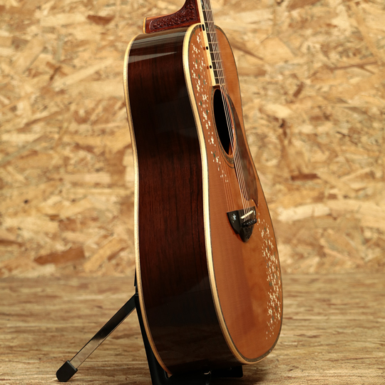 T'sT Terry's Terry TMJ-051 Madagascar Rosewood テリーズテリー サブ画像3